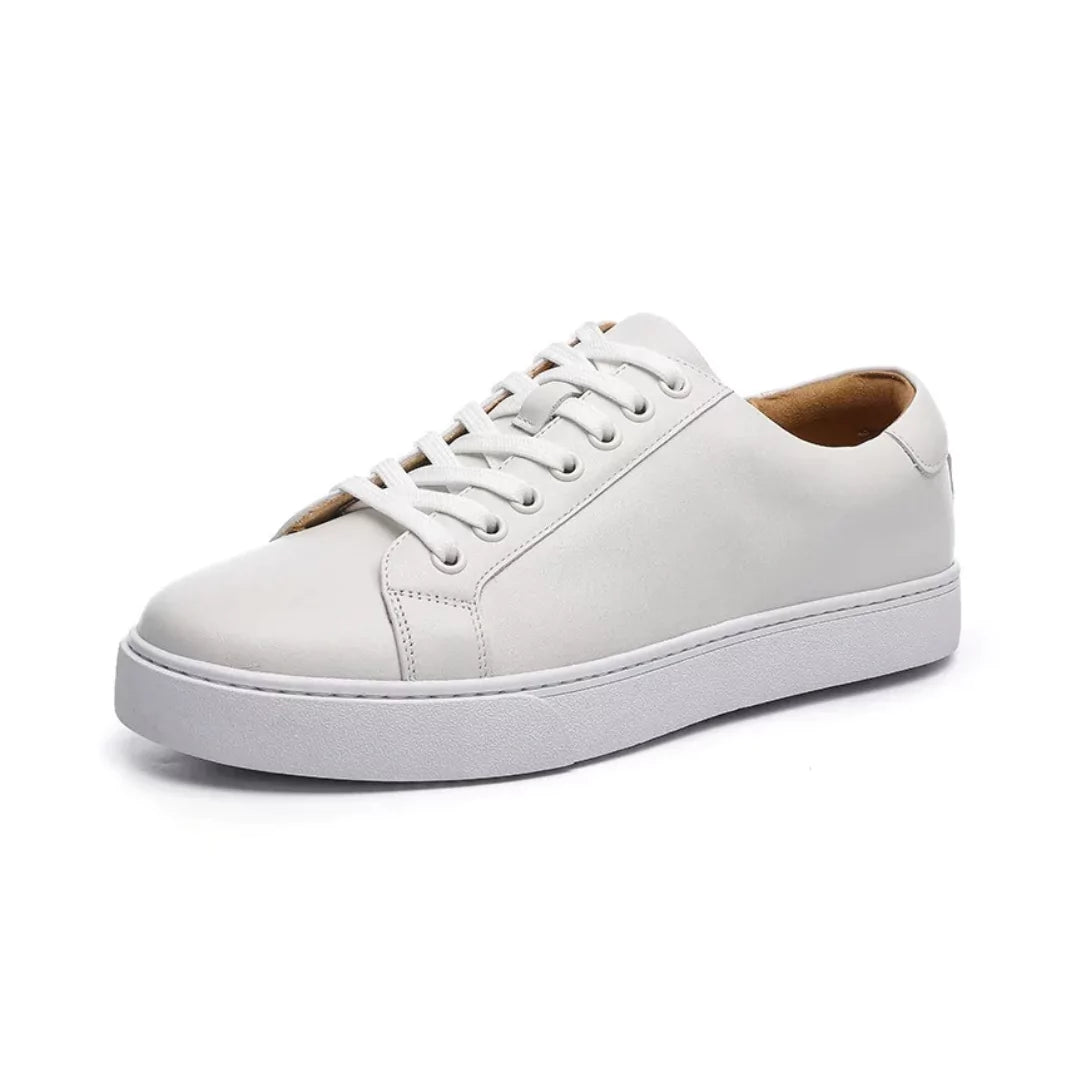 ASHFORD Leather Low-Tops